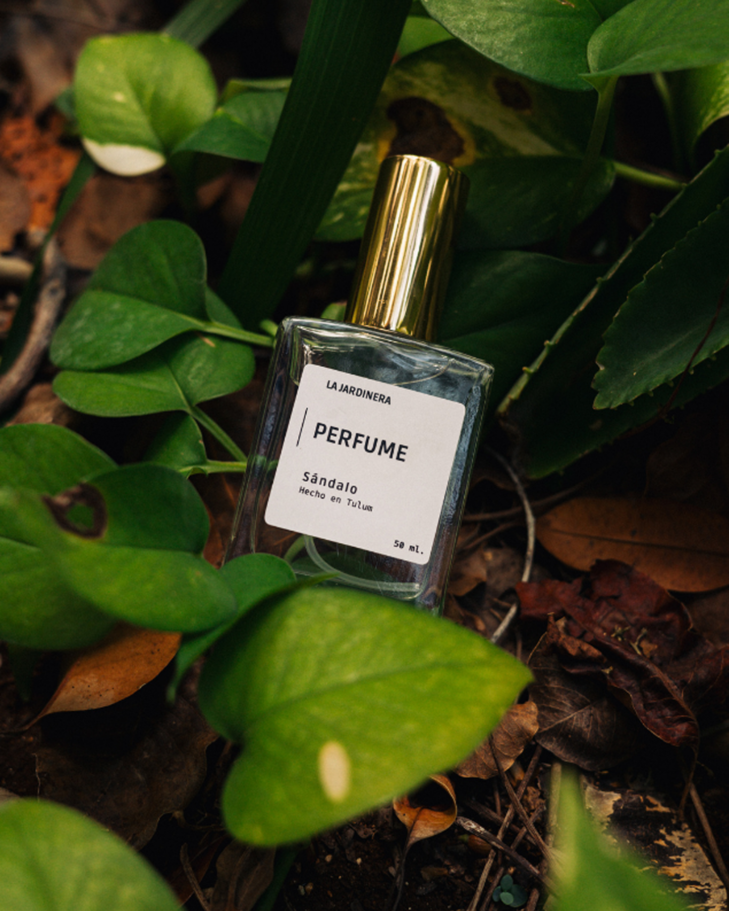 PERFUME SÁNDALO